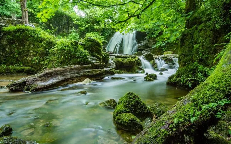 高效高端智慧